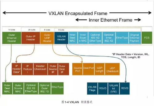 云计算底层技术 虚拟网络设备 bridge,vlan,vxlan